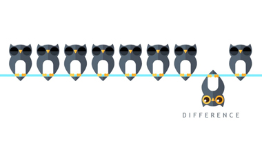 SMO Company in Noida