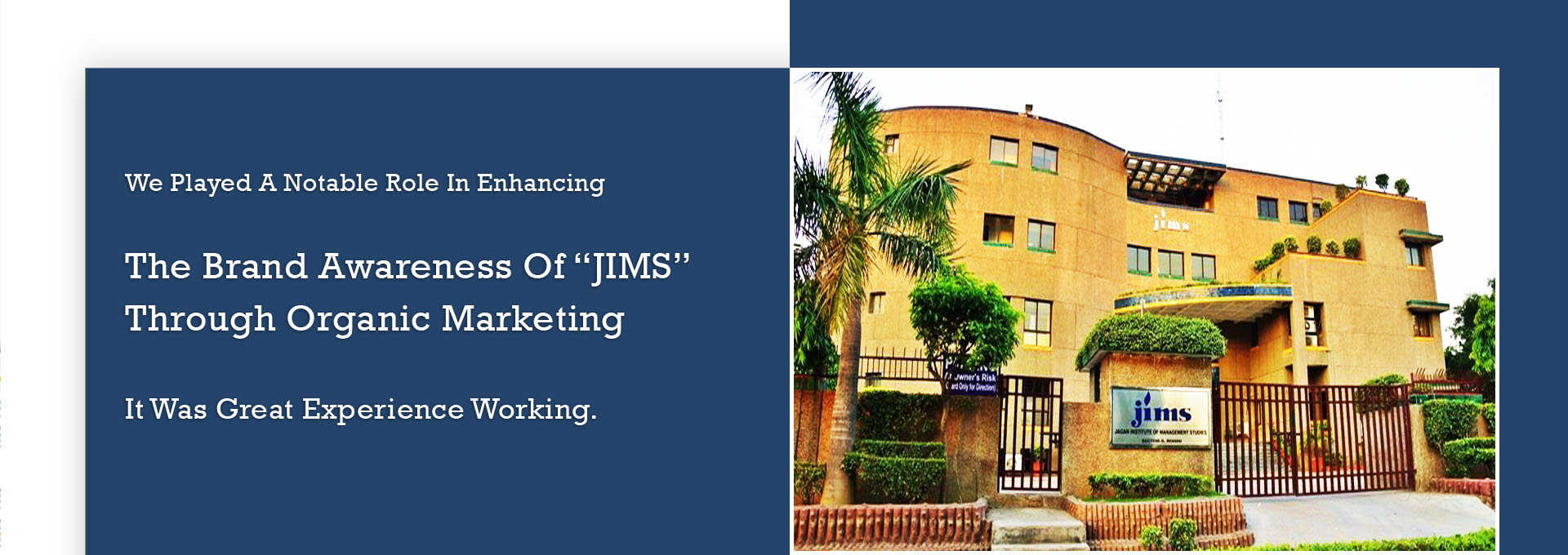 Website Design Company in Noida Website Design Company in Noida